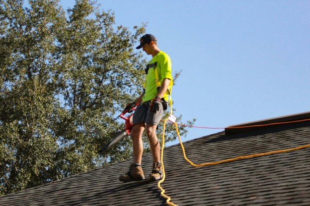 Hire Professional Roof Washers